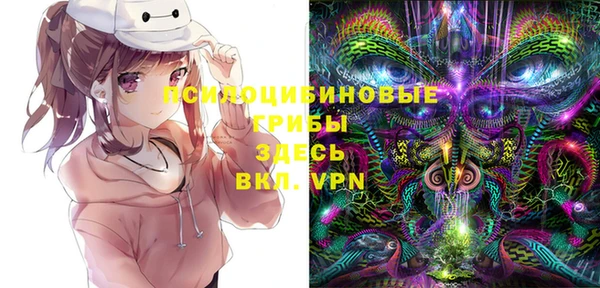 ПСИЛОЦИБИНОВЫЕ ГРИБЫ Армянск