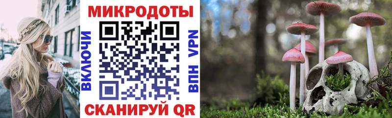 Галлюциногенные грибы мицелий  гидра сайт  Белогорск 