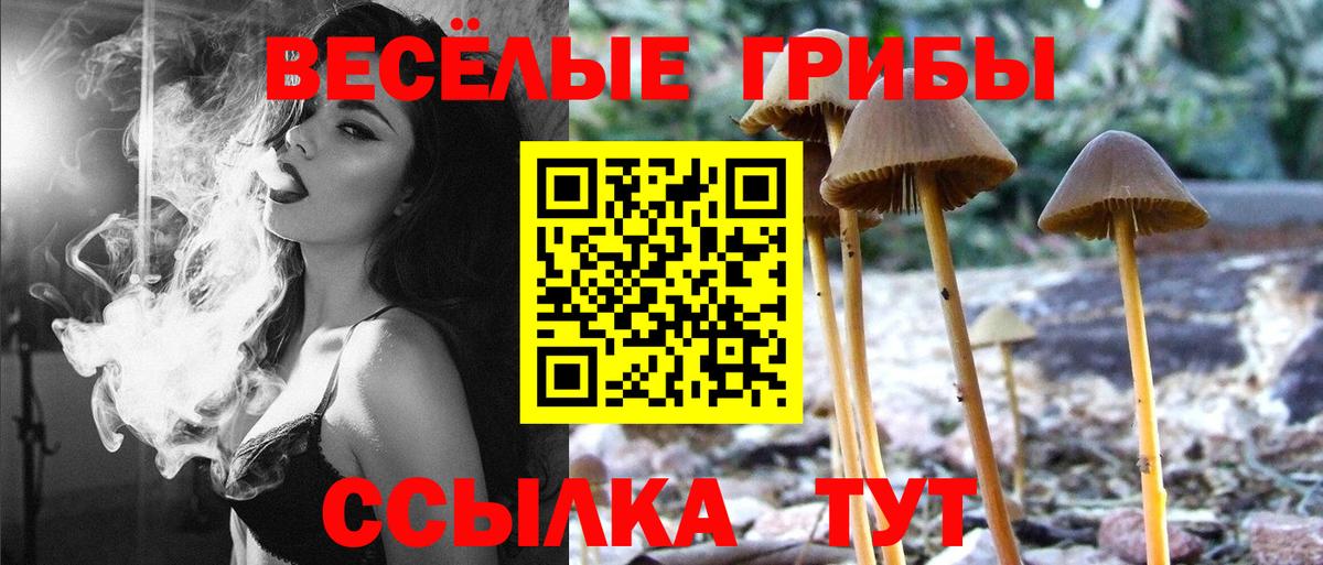 Галлюциногенные грибы прущие грибы Белогорск